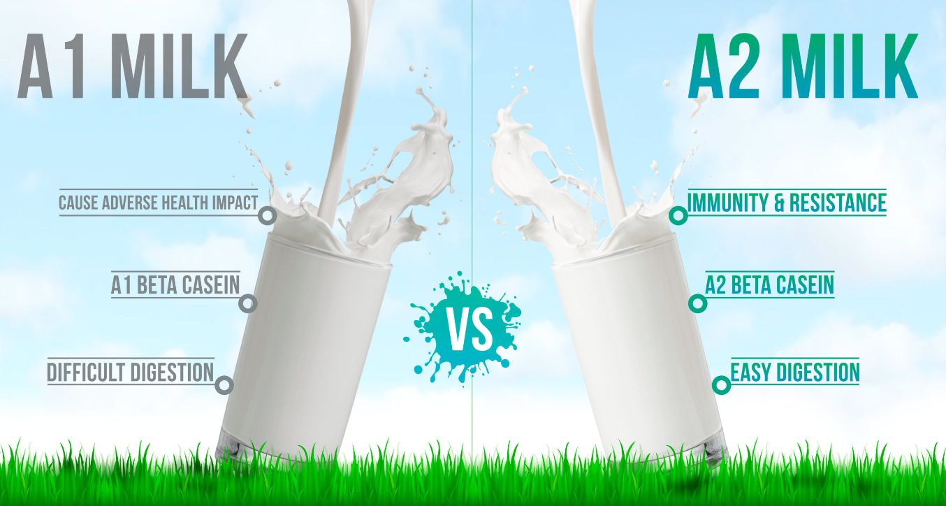 amul cow milk home delivery near me